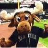 05-mascot